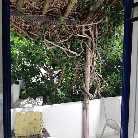 Pagali Hotel 2*